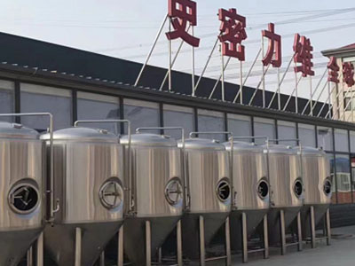 东宁精酿啤酒设备厂—如何判断精酿啤酒设备的密封件需要更换？